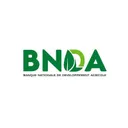 BNDA's icon