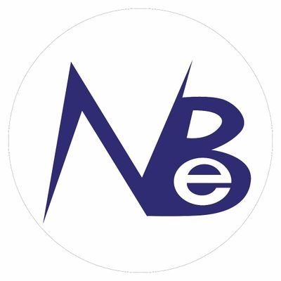 NanineBusinessEnterprise's icon