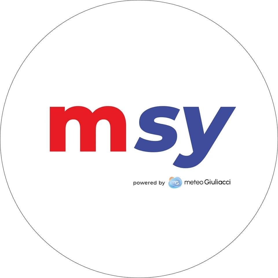 Meteo System srl's icon