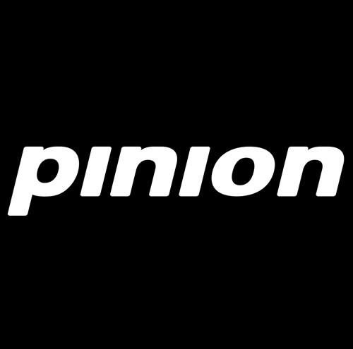 Pinion GmbH's icon