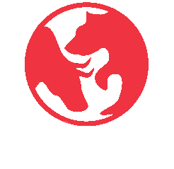 Z/Yen Group logo