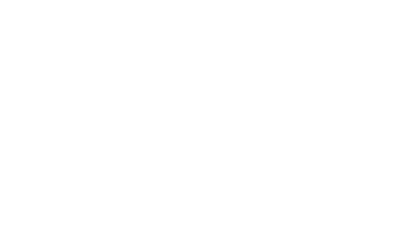 Skyloov Logo