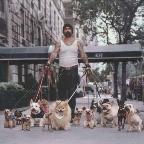 Holistic Family and Pets's icon