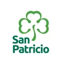 San Patricio's icon
