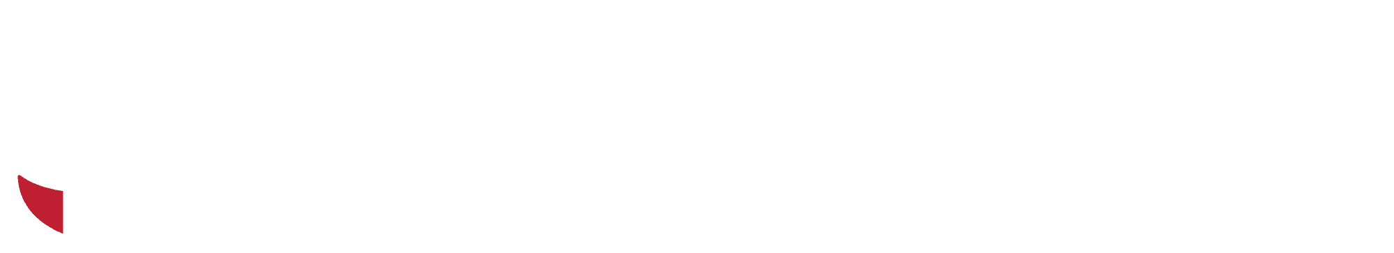 Shinkyowa International's logos