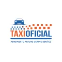 taxiamb.cl's icon