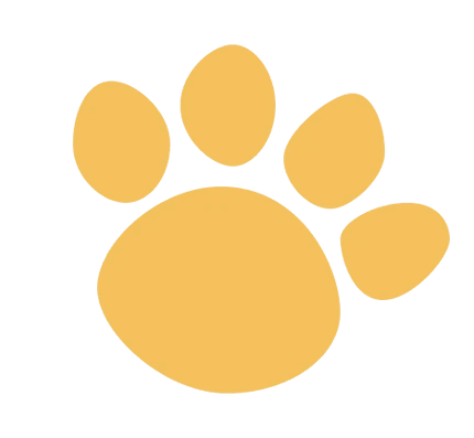 reyyanshujastore.myshopify.com's logos