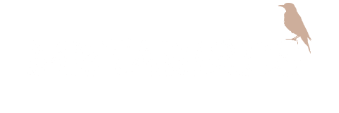 Threedive AI | 24時間AIが接客する次世代3D空間AIチャットボット's logos