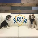 Rich Capital Financial Services's icon