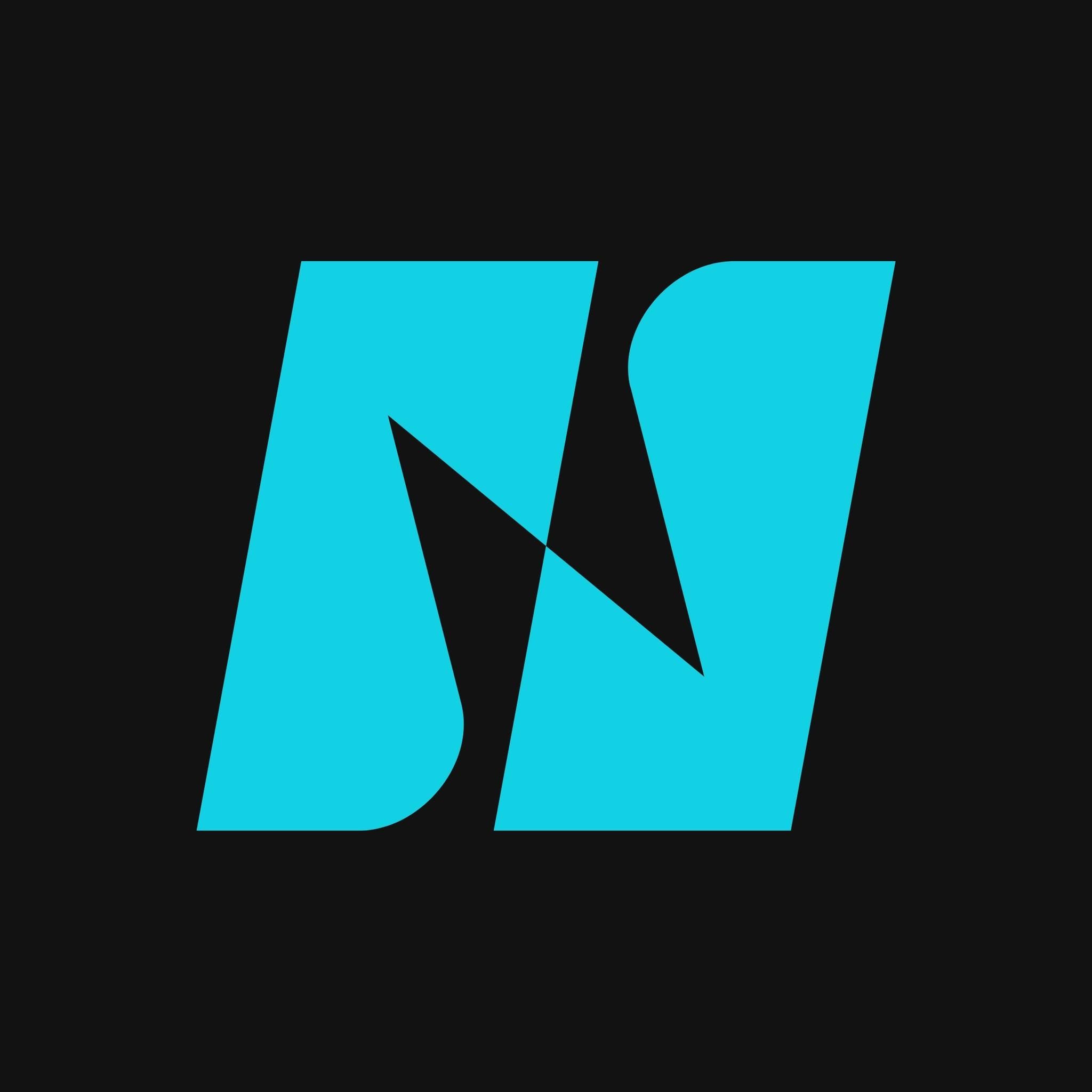 NeRD's icon