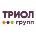 gc-triol.com's icon