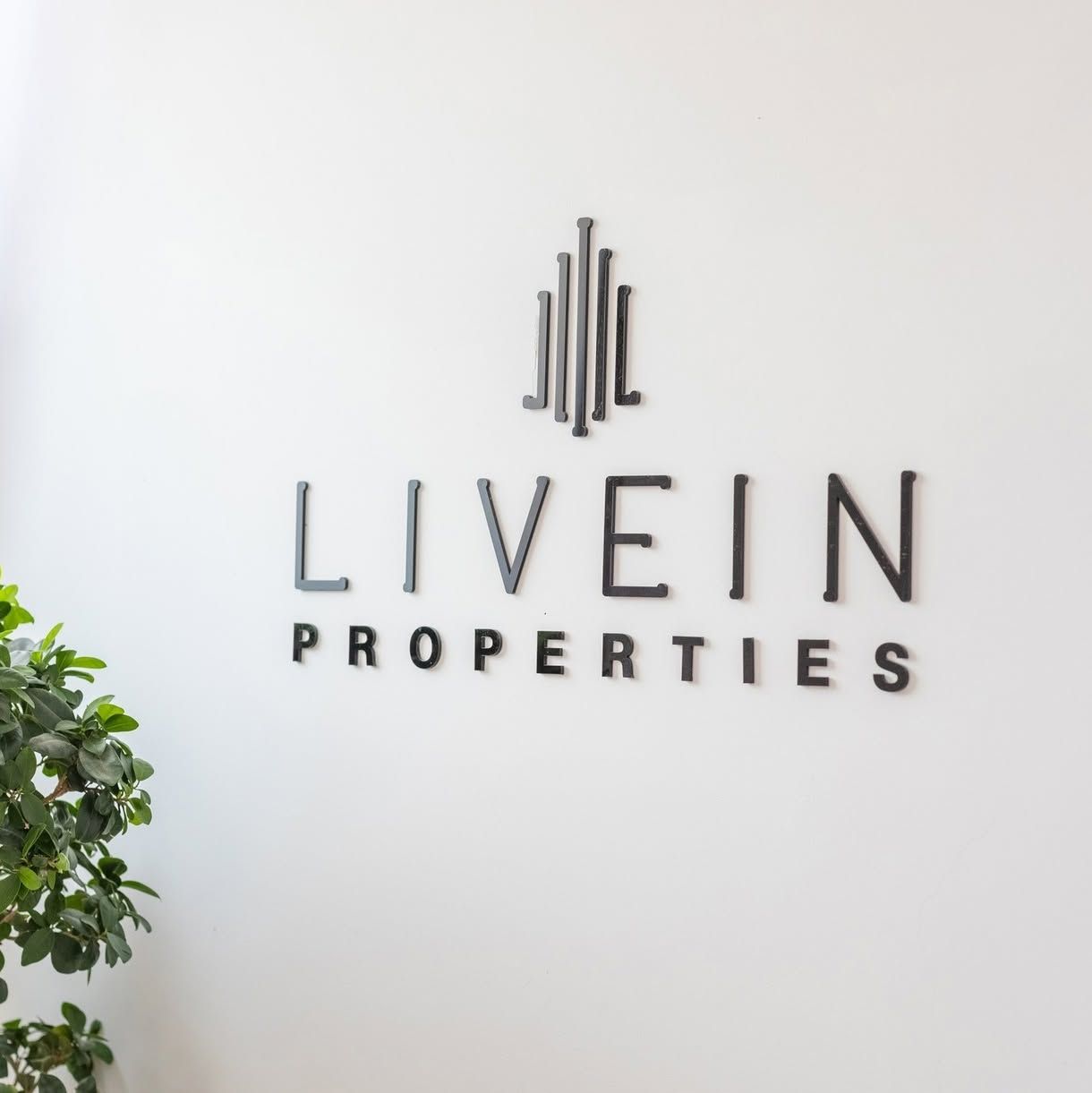 Livein Properties's icon