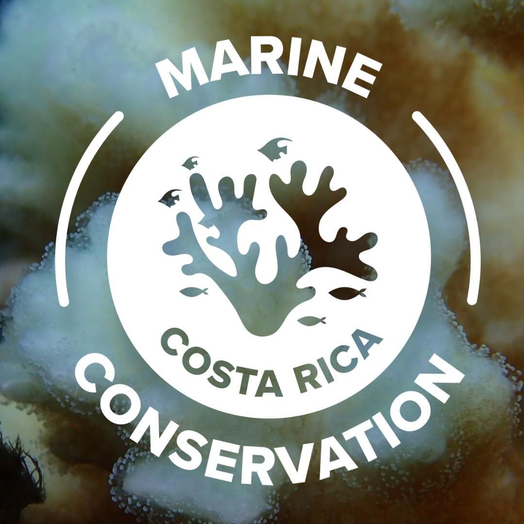 Marine Conservation Costa Rica's icon
