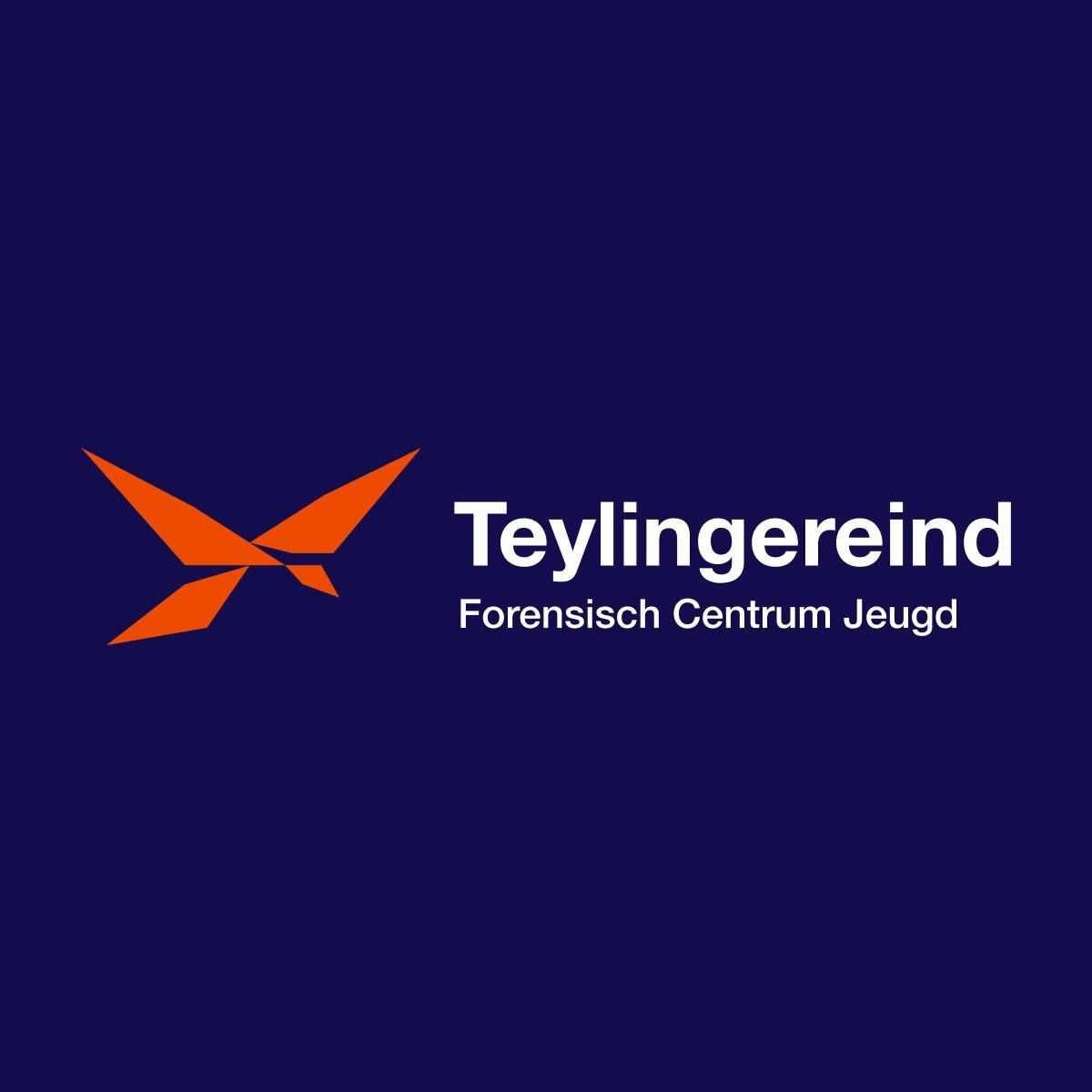 Teylingereind's icon