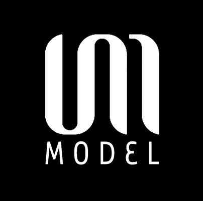 VM MODEL's icon