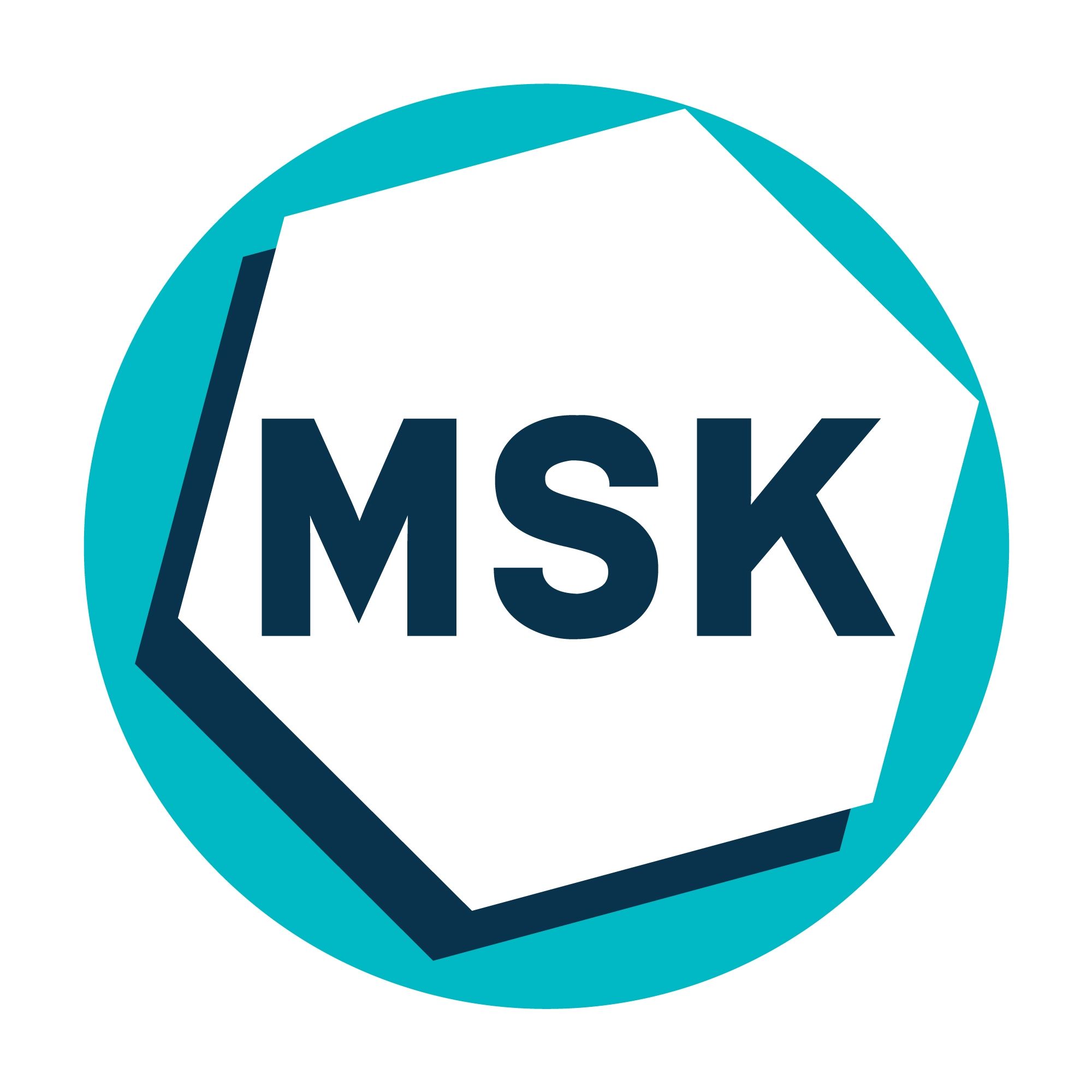 Multistock's icon