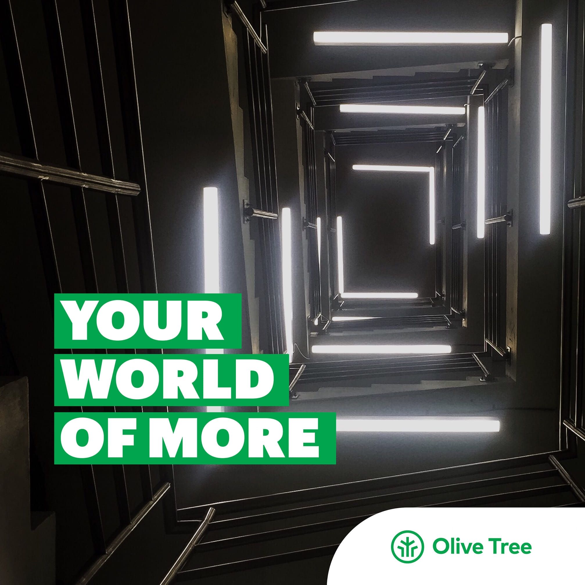 Olive Tree Media Limited's icon