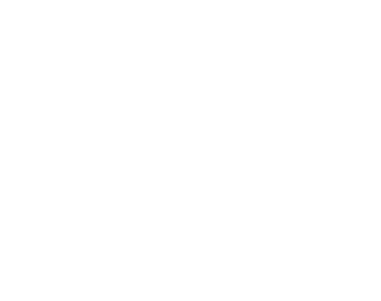Kormoran Niesulice's logos
