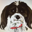 Four Paws Inn's icon