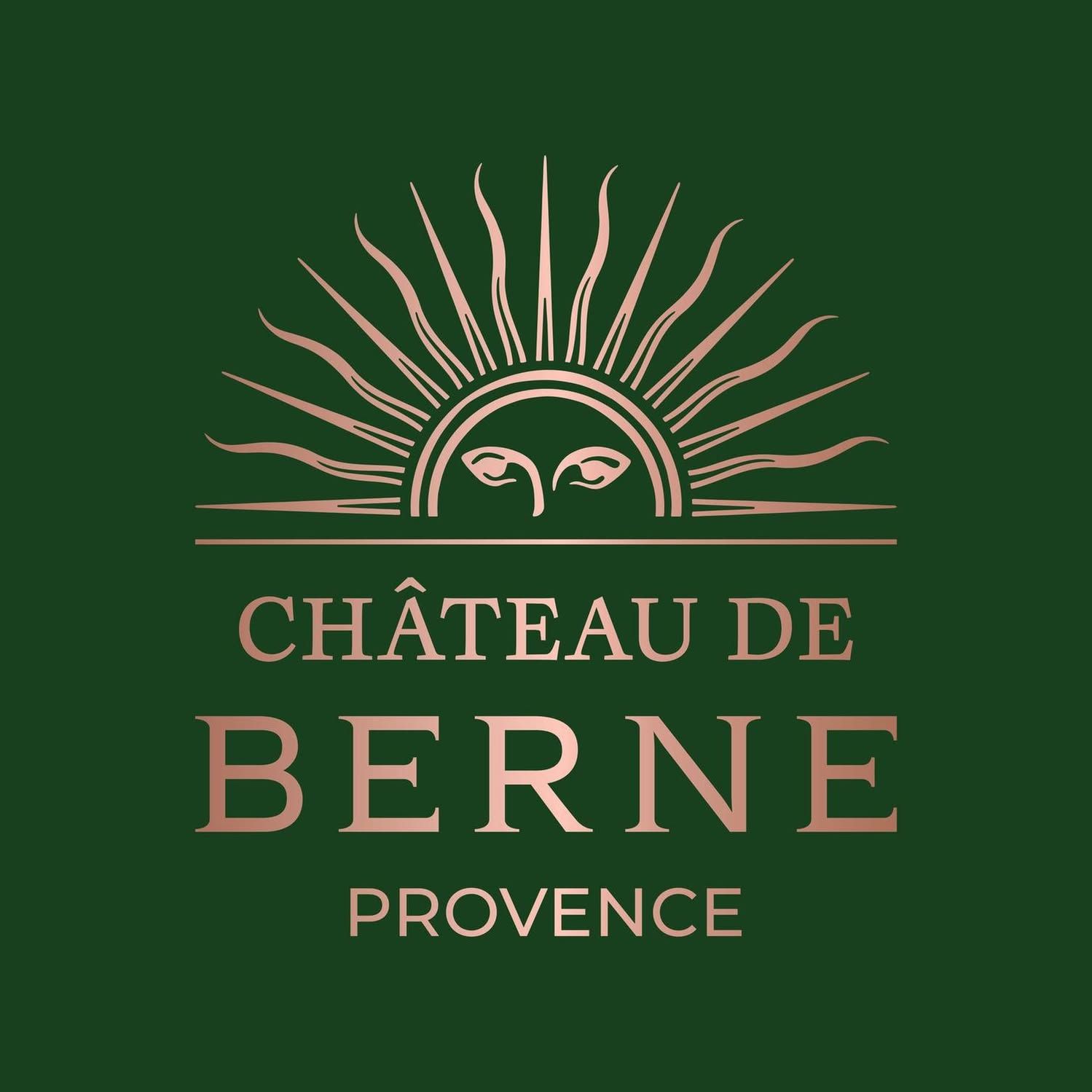 Château de Berne Vin's icon