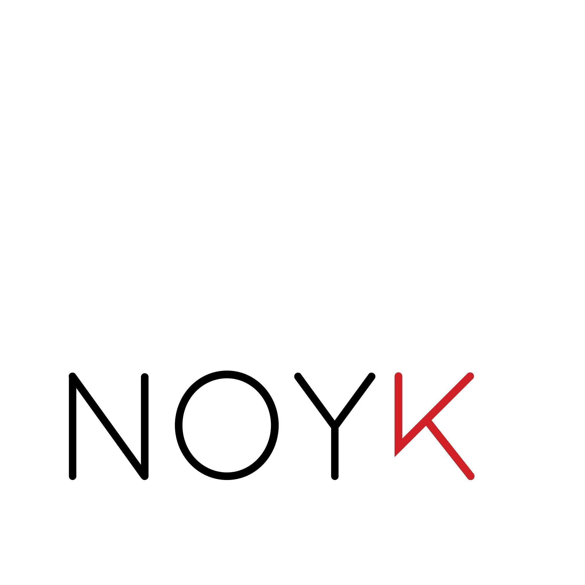 Noyk's icon