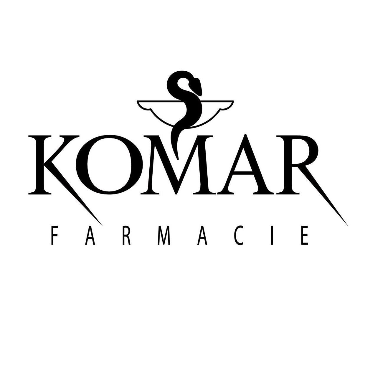 Komar's icon
