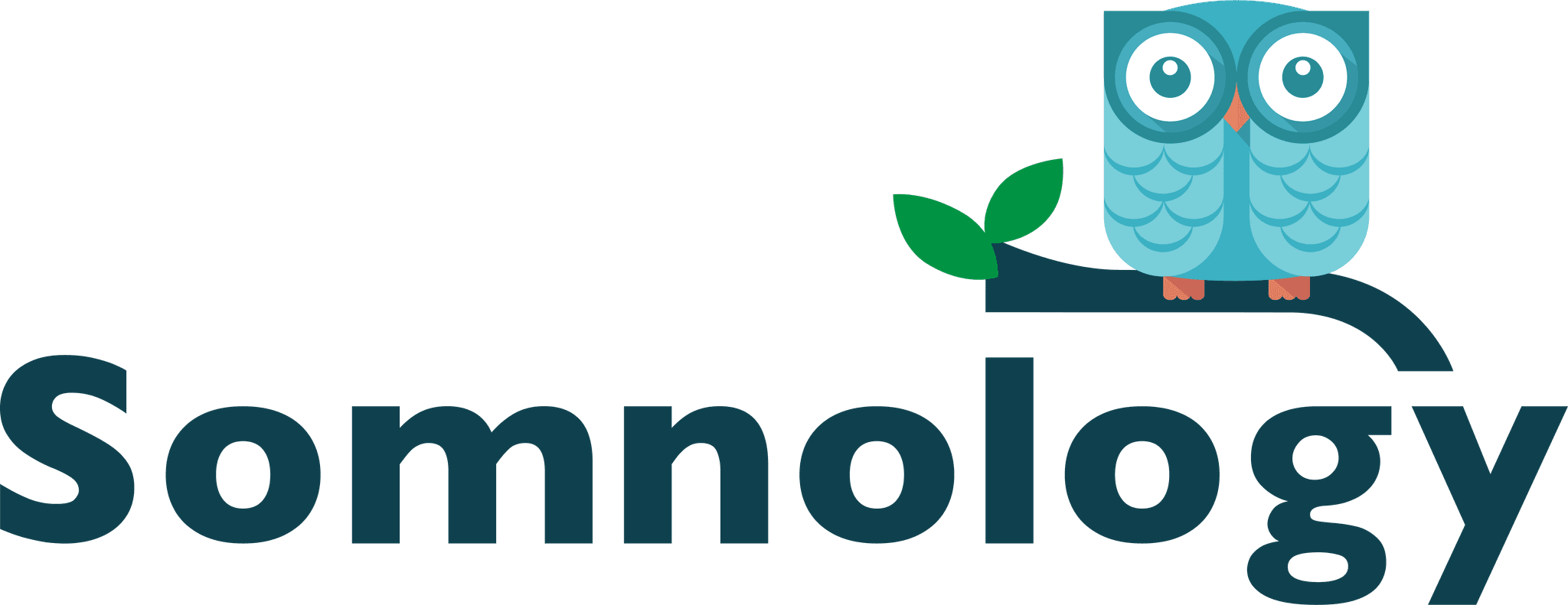 Somnology's logos