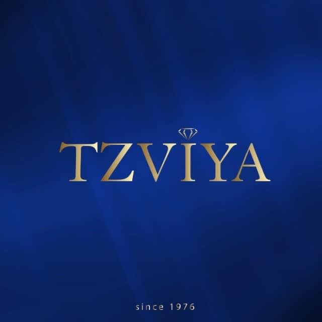 תכשיטי צביה's icon