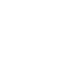 Aspen Global LLC logo