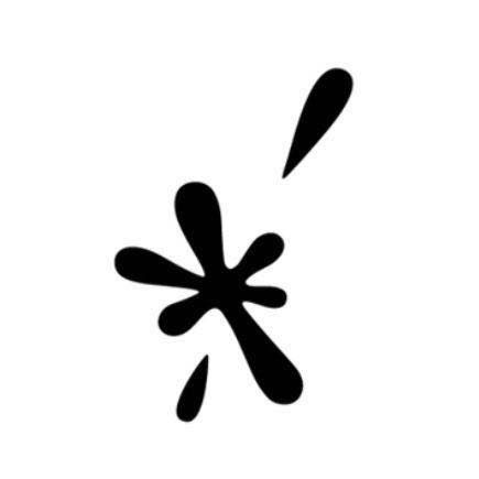 Chhapaak's icon