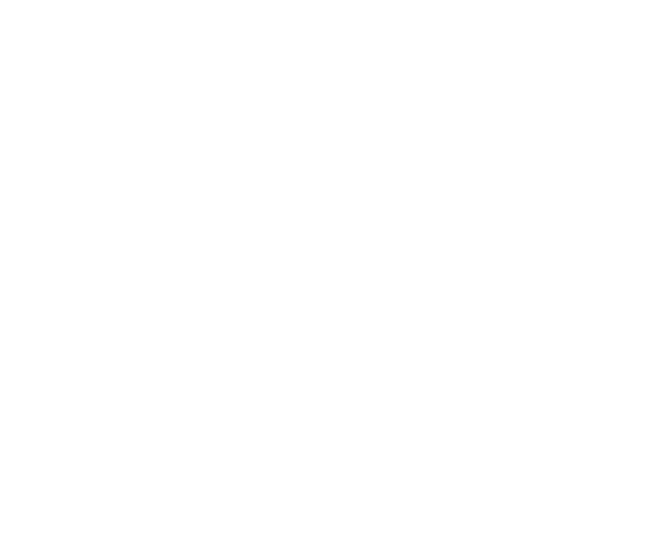South Chicago Packing LLC logo