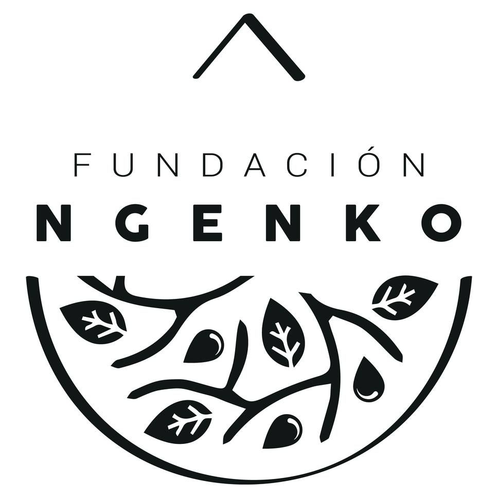 Fundación NgenKo's icon