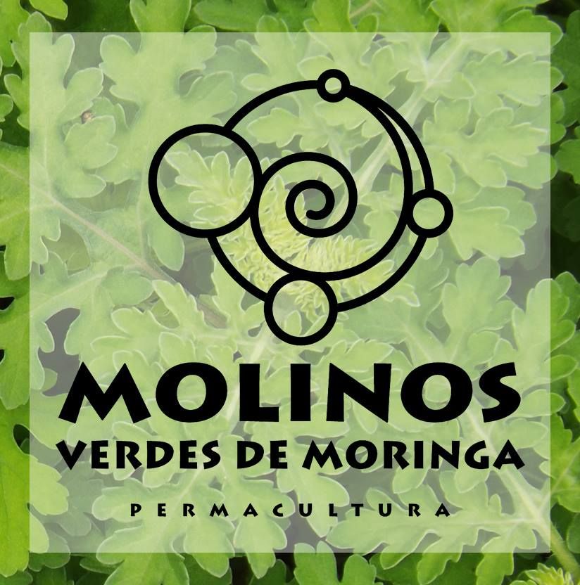 Molinos Verdes de Moringa's icon