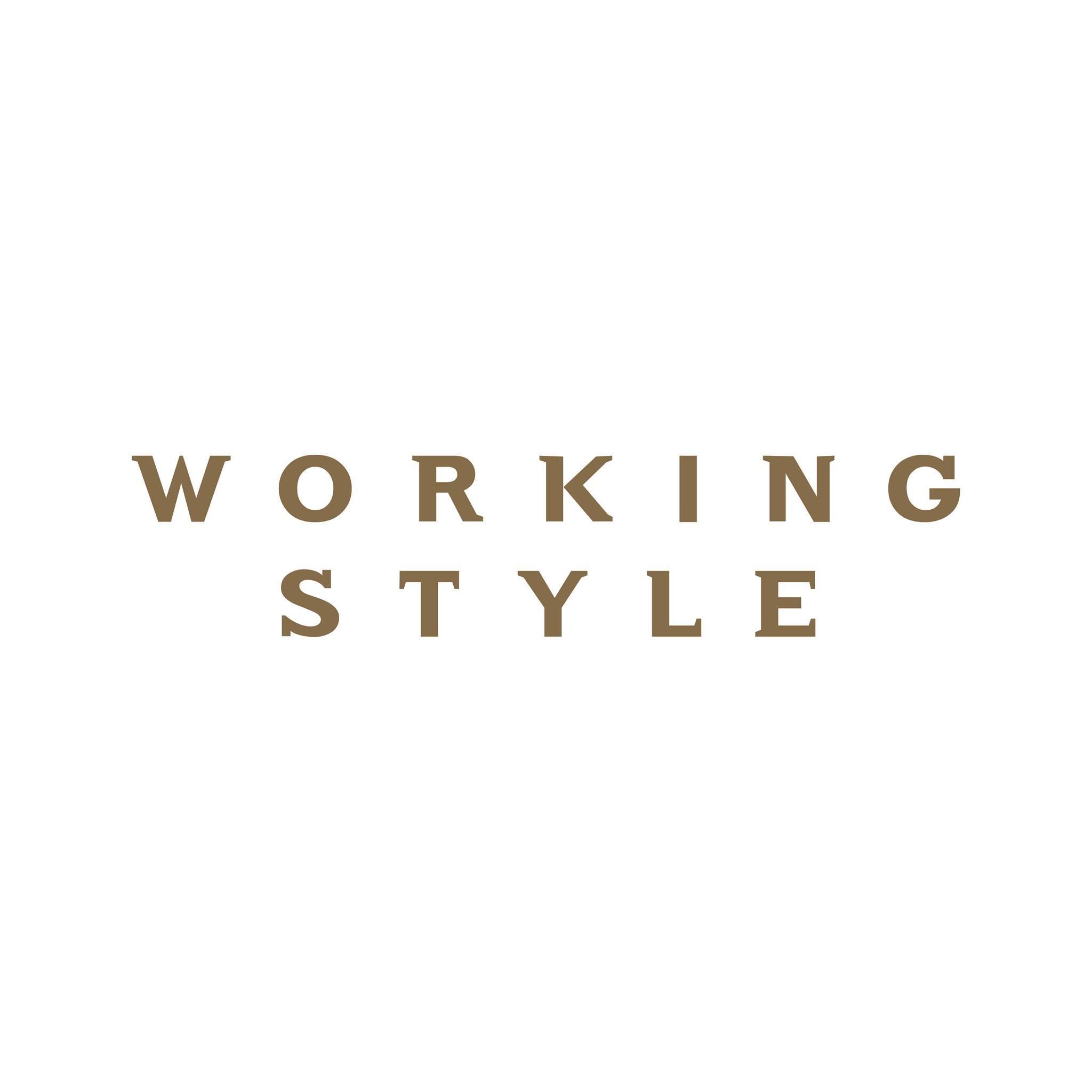 Working Style's icon