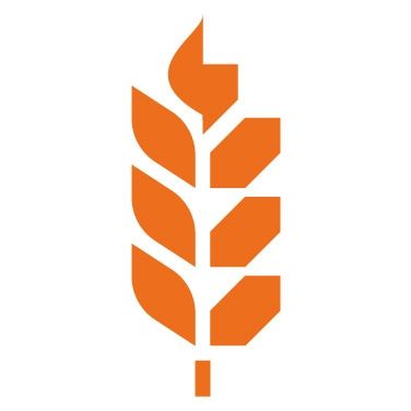 Van Aarsen International's icon