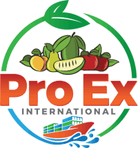 ProEx International Inc. logo