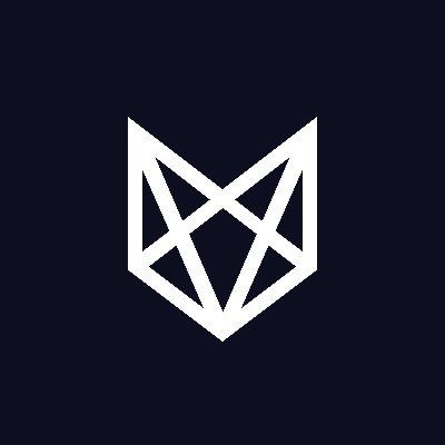 Foxtrot Systems's icon