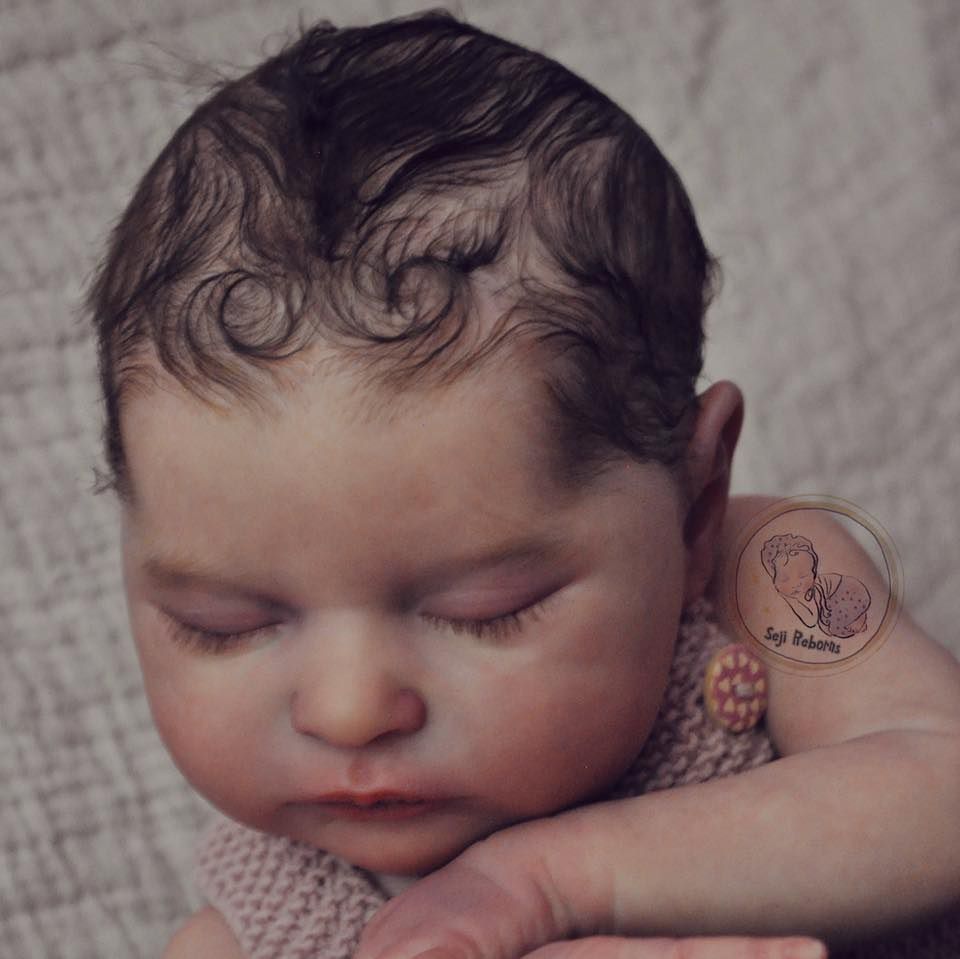 Seji Reborns's brand icon