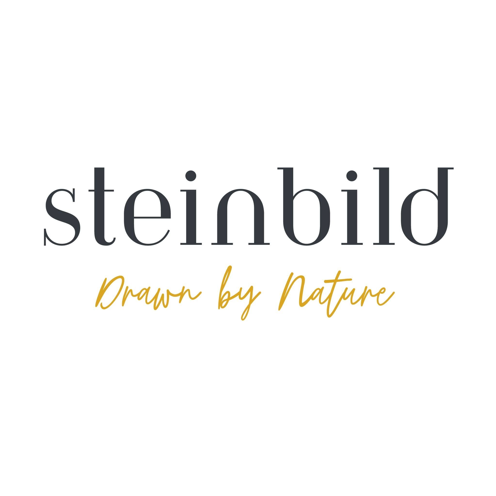 Steinbild's icon