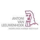 Antoni van Leeuwenhoek's icon