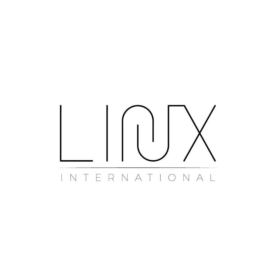 Linx International's icon