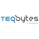 TEQbytes Inc.'s icon
