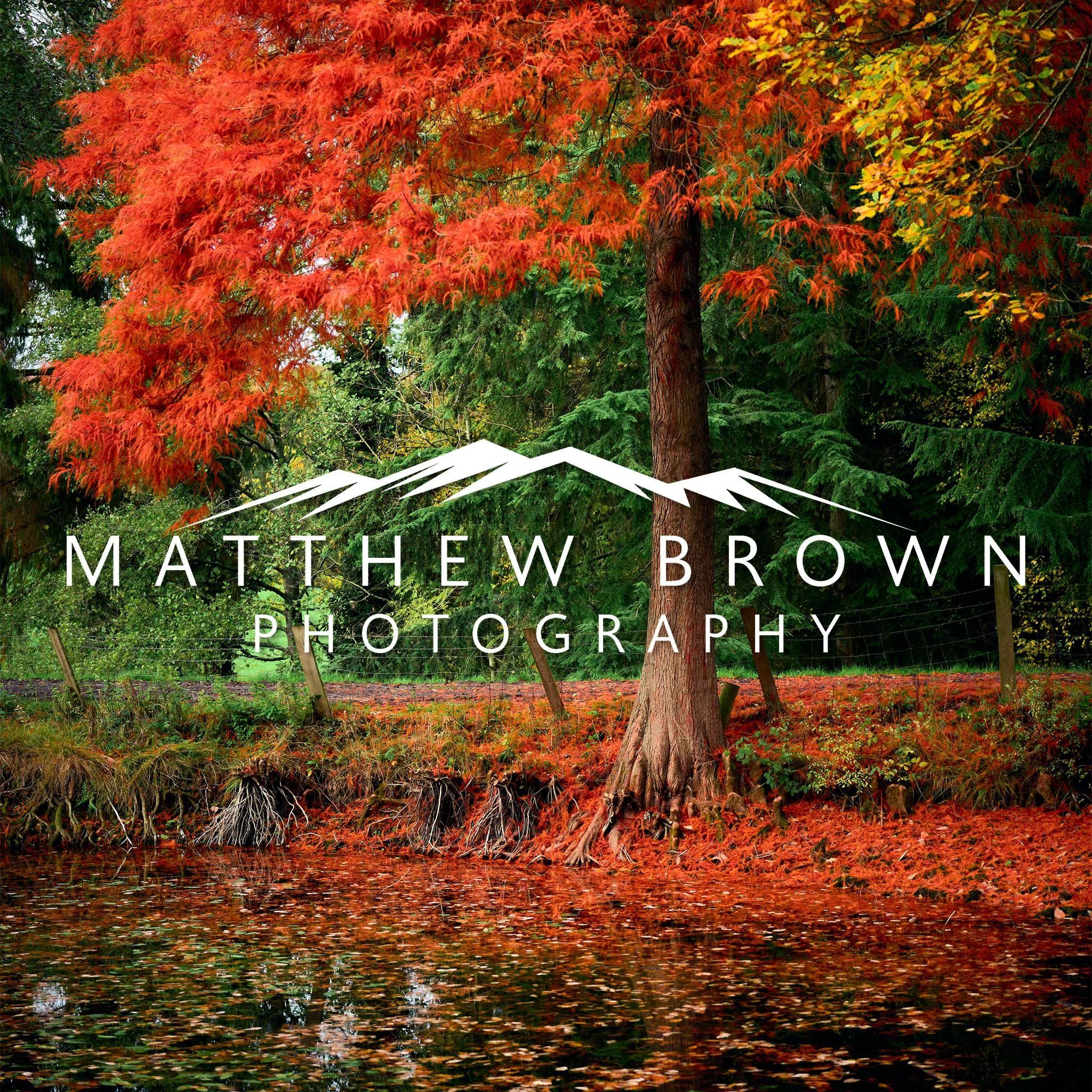 Matthew Brown Photography's icon