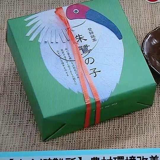 新潟県観光物産株式会社's icon