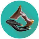 CAPdouleur's icon