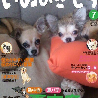 ちわたん's icon