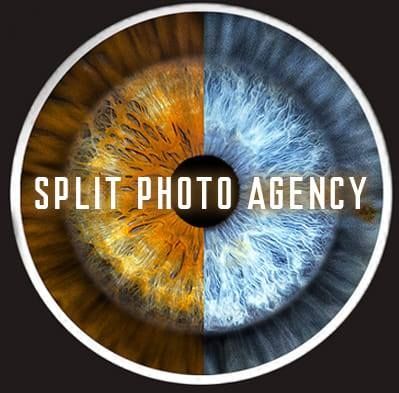 Split Photo Agency's icon