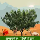 ajaymeru publication's icon