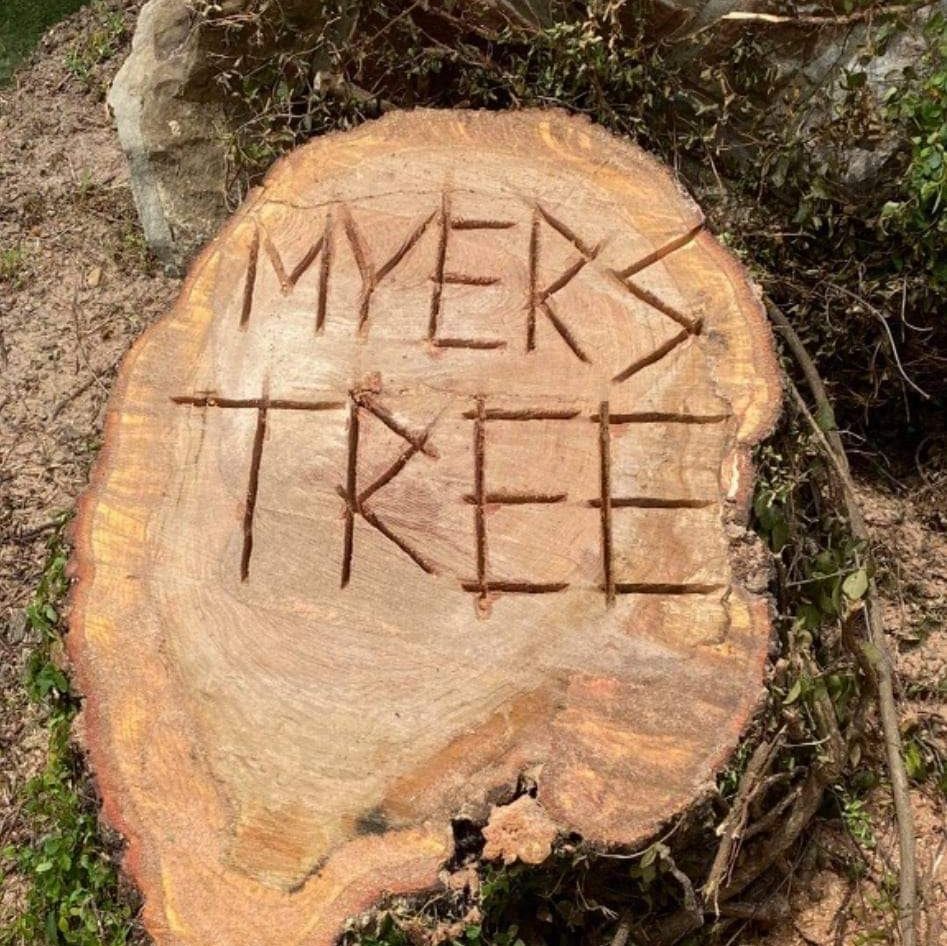 Myers Tree Service's icon