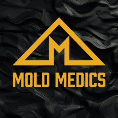 Mold Medics logo